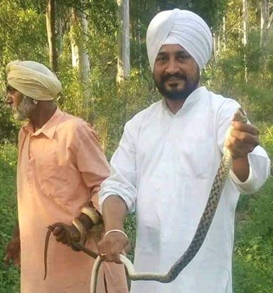 ਸੱਪ ਦੀ ਸਿਰੀ ਤੋਂ ਨੋਟ ਚੁੱਕੇਗਾ ਇਸ ਵਾਰ ਹਲਕਾ ਮਹਿਲ ਕਲਾਂ ’ਚ ‘ਆਪ’ ਉਮੀਦਵਾਰ?