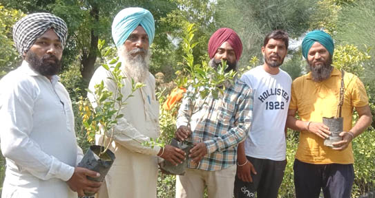 ਮਨੁੱਖ ਦਾ ਰੁੱਖ ਨਾਲ ਅਟੁੱਟ ਰਿਸਤਾ-ਸੇਖਾ