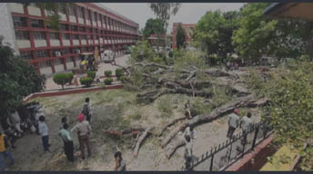 ਸਕੂਲ ਵਿੱਚ ਦਰੱਖ਼ਤ ਡਿੱਗਣ ਕਾਰਨ  ਇੱਕ ਵਿਦਿਆਰਥਣ ਦੀ ਮੌਤ