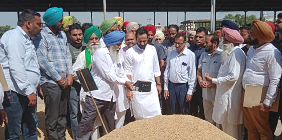 ਪੰਜਾਬ ਸਰਕਾਰ ਝੋਨੇ ਦੀ ਸੁਖਾਵੀਂ ਖਰੀਦ ਲਈ ਵਚਨਬੱਧ: ਮੀਤ ਹੇਅਰ