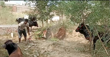 ਇਹ ਤਾਂ ਉਹੀ ਬੰਦੇ ਨੇ ਜਿਨਾਂ ਨੂੰ ਪਹਿਲਾਂ ਪੁਲਿਸ ਫੜ ਕੇ ਛੱਡ ਦਿੰਦੀ ਸੀ, ਪਰ ਹੁਣ ਭਗਵੰਤ ਮਾਨ ਨੇ “ਨੋਟਿਸ ਲਿਆ” ਤਾਂ ਕਾਰਵਾਈ ਹੋਈ ਆਂ- ਗੋਇਲ