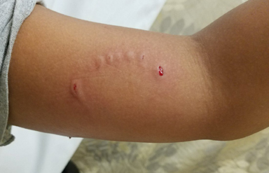 ਕੁੱਤਿਆਂ ਦੇ ਸ਼ੌਕੀਨ ਸਾਵਧਾਨ…ਹਾਈਕੋਰਟ ਦਾ ਆ ਗਿਆ ਸਖ਼ਤ ਫ਼ਰਮਾਨ