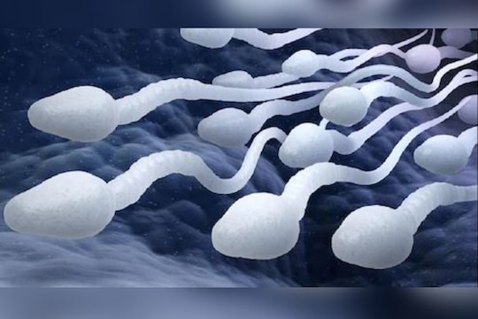 ਚਿੰਤਾਜਨਕ ਖ਼ਬਰ : ਵਧ ਰਹੀ ਗਰਮੀ ਦਾ ਪੁਰਸ਼ਾਂ ਦੇ ਸ਼ਕਰਾਣੂਆਂ ‘ਤੇ ਅਸਰ…50 ਫੀਸਦੀ ਘੱਟ ਗਈ ਪੁਰਸ਼ਾਂ ‘ਚ ਸ਼ੁਕਰਾਣੂਆਂ ਦੀ ਗਿਣਤੀ