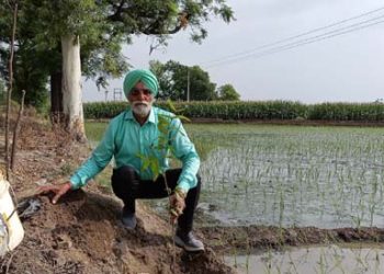 ਸ਼ਲਾਘਾਯੋਗ ਉਪਰਾਲਾ : ਮਰਹੂਮ ਬੇਟੀ ਦੀ ਯਾਦ ਵਿੱਚ ਲਗਾਏ ਪੌਦੇ…..ਹੁਣ ਤੱਕ ਲਗਾ ਚੁੱਕੇ ਹਨ ਹਜ਼ਾਰਾਂ ਪੌਦੇ