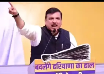 ਹੁਣ ਦਿੱਲੀ ਸਰਕਾਰ ਨੂੰ ਡੰਡੇ ਨਾਲ ਚਲਾਉਣਗੇ ਲੈਫਟੀਨੈਂਟ ਗਵਰਨਰ-MP ਸੰਜੇ ਸਿੰਘ