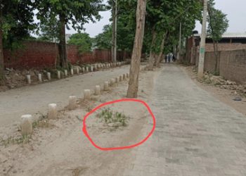 ਕੌੜਤੂੰਬਾ : ਬਰਨਾਲੇ ਦੇ ਵਣ ਵਿਭਾਗ ਦੇ ਅਧਿਕਾਰੀ ਕੁੰਭਕਰਨੀ ਨੀਂਦ ਸੁੱਤੇ…ਚੋਰੀ ਹੋ ਰਹੇ ਨੇ ਕੀਮਤੀ ਰੁੱਖ