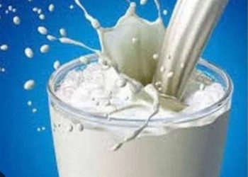 ਸਾਵਧਾਨ ! ਦੇਸੀ ਘਿਓ ਤੇ ਖੋਏ ਦੇ ਨਮੂਨੇ ਫੇਲ…ਬਾਜ਼ਾਰ ‘ਚ ਵੱਡੀ ਮਾਤਰਾ ‘ਚ ਵਿਕ ਰਿਹੈ ਨਕਲੀ ਦੁੱਧ