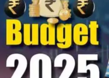 ਕੇਂਦਰੀ ਬਜਟ 2025….ਕੀ ਕੁਝ ਹੋਇਆ ਸਸਤਾ…!