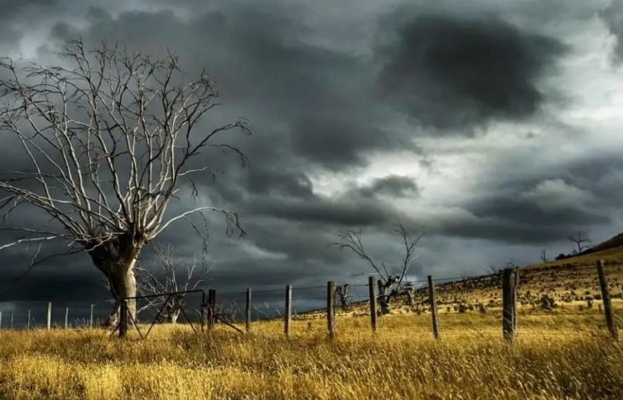 ਅੱਜ ਦਾ ਮੌਸਮ ਪੰਜਾਬ ਚ ਅੱਜ ਤੇਜ ਹਵਾਵਾਂ ਨਾਲ ਮੀਂਹ ਪੈਣ ਦਾ ਅਲਰਟ