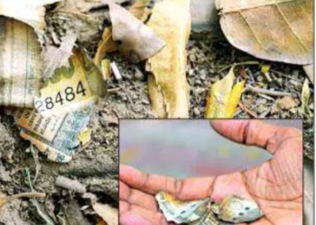 ਨੋਟਾਂ ਦੀਆਂ ਬੋਰੀਆਂ ਵਾਲਾ ਜੱਜ ਖੜ ਗਿਆ ਕਟਿਹਰੇ ‘ਚ…ਸੁਪਰੀਮ ਕੋਰਟ ਸਖ਼ਤ…!