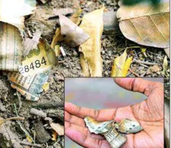 ਨੋਟਾਂ ਦੀਆਂ ਬੋਰੀਆਂ ਵਾਲਾ ਜੱਜ ਖੜ ਗਿਆ ਕਟਿਹਰੇ ‘ਚ…ਸੁਪਰੀਮ ਕੋਰਟ ਸਖ਼ਤ…!