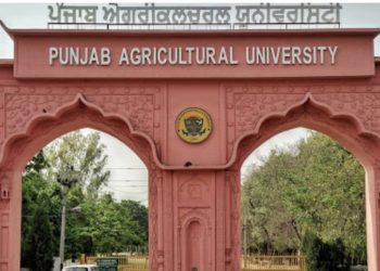 ਯੂਨੀਵਰਸਿਟੀ ਦੀ ਸਹਾਇਕ ਪ੍ਰੋਫੈਸਰ ਨਾਲ ਅਸ਼ਲੀਲ ਅਵਸਥਾ ‘ਚ ਫੜਿਆ ਗਿਆ aap ਆਗੂ…ਪੁਲਸੀਆ ਡੰਡੇ ਦੇ ਜ਼ੋਰ ਨਾਲ ਦਬਾਇਆ ਜਾ ਰਿਹਾ ਹੈ ਮਾਮਲਾ