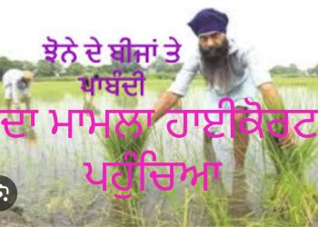 ਪੰਜਾਬ ‘ਚ ਝੋਨੇ ਦੇ ਹਾਈਬ੍ਰਿਡ ਬੀਜਾਂ ‘ਤੇ ਪਾਬੰਦੀ ਲਗਾਉਣ ਸਬੰਧੀ ਹਾਈਕੋਰਟ ਨੇ ਸਰਕਾਰ ਨੂੰ ਕੀਤਾ ਨੋਟਿਸ ਜਾਰੀ