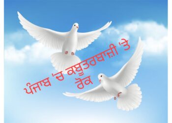 ਕਬੂਤਰਬਾਜ਼ੀ ਦੇ ਸ਼ੌਕੀਨ…ਜਾਣਾ ਪਵੇਗਾ ਜੇਲ੍ਹ, ਪੰਜਾਬ ‘ਚ ਕਬੂਤਰ ਮੁਕਾਬਲਿਆਂ ‘ਤੇ ਲੱਗੀ ਰੋਕ