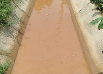 ਆਬਾਦੀ ਨੇੜੇ ਲੰਘਦੇ ਸੰਘੇੜਾ ਬਾਈਪਾਸ ਵਾਲੇ ਰਜਬਾਹੇ ਵਿੱਚ ਡਿੱਗਣ ਕਰਕੇ ਬੱਚੀ ਦੀ ਮੌਤ