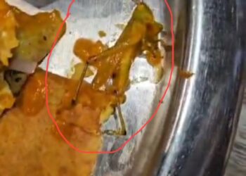 ਲੀਡਰਾਂ ਤੇ ਅਫ਼ਸਰਾਂ ਦੇ ਪਸੰਦੀਦਾ ਦੀਪਕ ਢਾਬੇ ਦੇ ਖਾਣੇ ‘ਚੋਂ ਨਿਕਲਿਆ ਮਰਿਆ ਹੋਇਆ ਟਿੱਡਾ