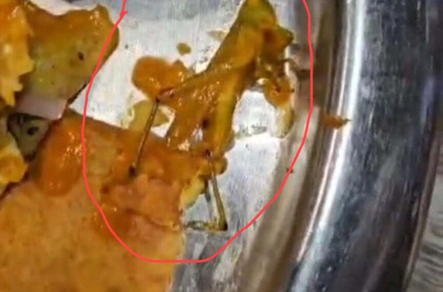 ਲੀਡਰਾਂ ਤੇ ਅਫ਼ਸਰਾਂ ਦੇ ਪਸੰਦੀਦਾ ਦੀਪਕ ਢਾਬੇ ਦੇ ਖਾਣੇ ‘ਚੋਂ ਨਿਕਲਿਆ ਮਰਿਆ ਹੋਇਆ ਟਿੱਡਾ