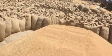 ਪੰਜਾਬ ‘ਚ ਝੋਨੇ ਦੀ ਖਰੀਦ ਨਾਲ ਸੰਬੰਧਿਤ ਵੱਡੇ ਘਪਲੇ ਦੀਆਂ ਗੂੰਜਾਂ…ਕੇਂਦਰ ਨੇ ਪੰਜਾਬ ਨੂੰ ਦਿੱਤੇ ਪੜ੍ਹਤਾਲ ਦੇ ਹੁਕਮ