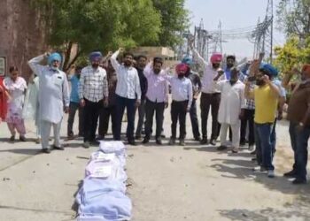 ਬਿਜਲੀ ਮੁਲਾਜ਼ਮਾਂ ਨੇ ਸਾੜੀ ਬਿਜਲੀ ਮੰਤਰੀ ਦੀ ਅਰਥੀ… ਸਰਕਾਰ ਦੇ ਅੜੀਅਲ ਵਤੀਰੇ ਦੀ ਨਿੰਦਾ