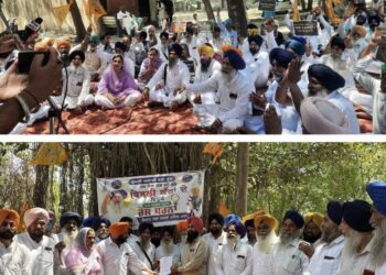 ਬਿਜਲੀ ਦੇ ਵੱਡੇ ਵੱਡੇ ਕੱਟਾਂ ਖ਼ਿਲਾਫ਼ ਅਕਾਲੀ ਦਲ ਨੇ ਮਹਿਲ ਕਲਾਂ ਵਿੱਚ ਲਗਾਇਆ ਧਰਨਾ, ਸਰਕਾਰ ਵਿਰੁੱਧ ਨਾਅਰੇਬਾਜ਼ੀ