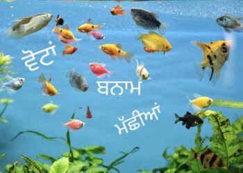 ਬੋਲ ਪੰਡੋਰੀ ਦੇ…ਬਰਨਾਲੇ ਮੱਛੀਆਂ ਵਾਂਗ ਤੈਰਦੀਆਂ ਫਿਰਦੀਆਂ ਨੇ ਵੋਟਾਂ…ਕਦੇ ਇਧਰ ਕਦੇ ਓਧਰ…!