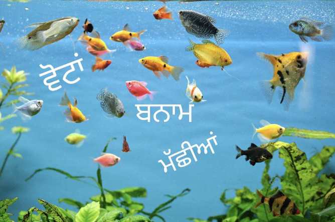 ਬੋਲ ਪੰਡੋਰੀ ਦੇ…ਬਰਨਾਲੇ ਮੱਛੀਆਂ ਵਾਂਗ ਤੈਰਦੀਆਂ ਫਿਰਦੀਆਂ ਨੇ ਵੋਟਾਂ…ਕਦੇ ਇਧਰ ਕਦੇ ਓਧਰ…!